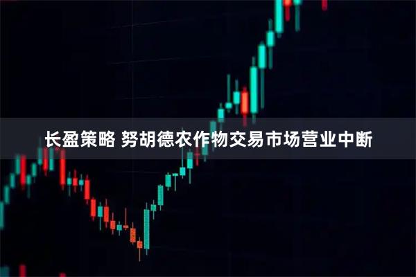 长盈策略 努胡德农作物交易市场营业中断